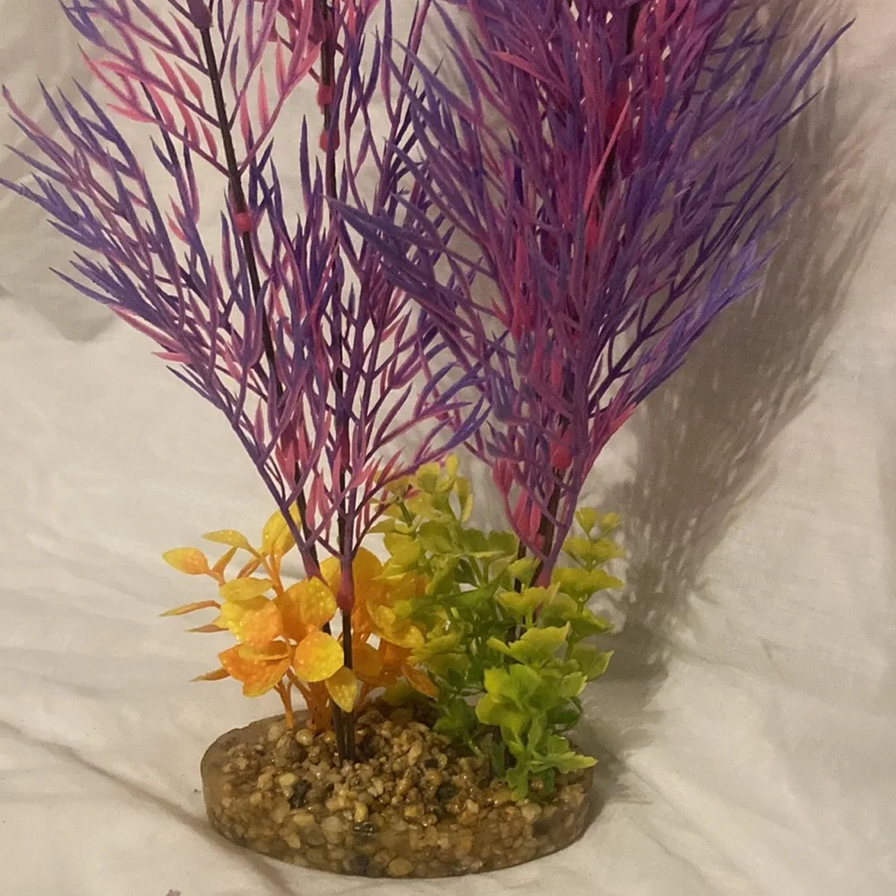 Large pink and purple aquarium plant
